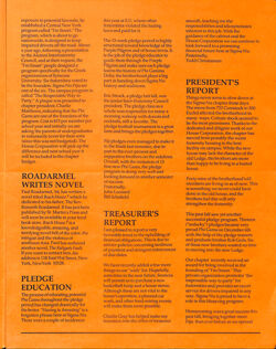 647741719f8c00.28245141.pdf page 3