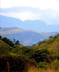 65049f76c0fed2.37243533.pdf page 16