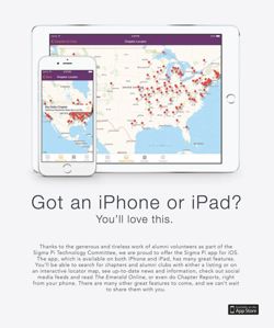 65049f76cb1557.84649977.pdf page 31