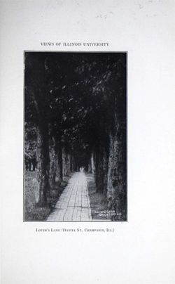 65049f9f3ce822.73477277.pdf page 41