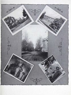 65049fee408e95.15514147.pdf page 23