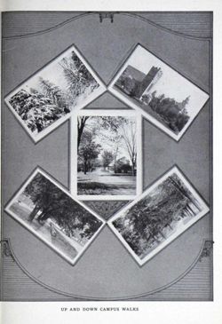 65049fee408e95.15514147.pdf page 43