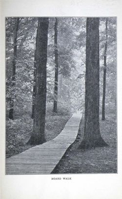 6504a0403f8da0.78436628.pdf page 17