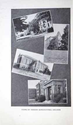 6504a04535da95.47909022.pdf page 24