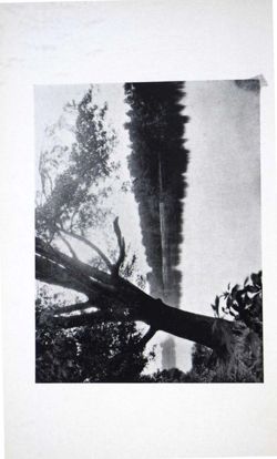 6504a0765469c1.44457010.pdf page 6