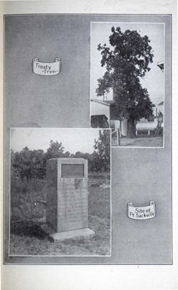 6504a0765469c1.44457010.pdf page 11