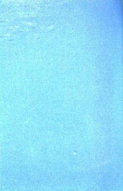 6504a0d13b1383.75829320.pdf page 2