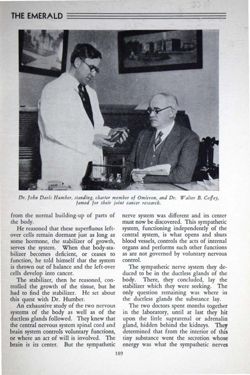 6504a0e8505720.91341322.pdf page 17