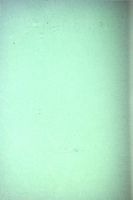 6504a13f3bf066.57672712.pdf page 2