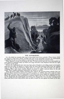 6504a1793d0908.37103012.pdf page 24