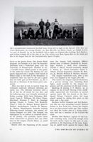 6504a1c733bf00.38095677.pdf page 44