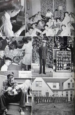 6504a1d5485120.55698008.pdf page 44