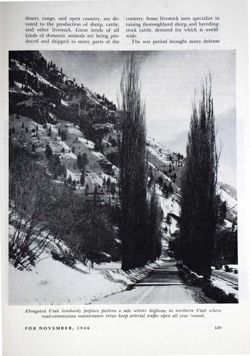 6504a23d569769.88678512.pdf page 27