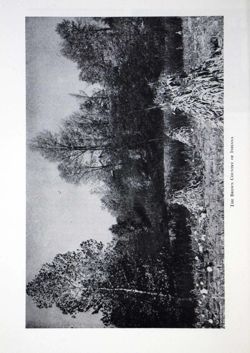 6504a24f3fd341.44990643.pdf page 12