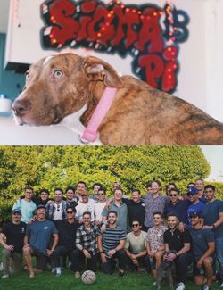 6505f8fcb3eb45.73861424.pdf page 35