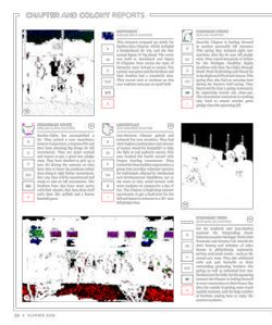 67f6cc90eaf8e6.80004006.pdf page 28