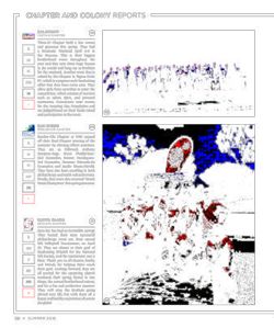 67f6cc90eaf8e6.80004006.pdf page 32