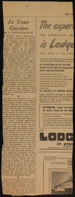 Grove_von Mises_Box 8_F17_084.jpg