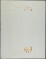Grove_von Mises_Box15_F13_068.jpg