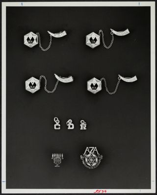 AZA Pins and Jewelry Photograph
