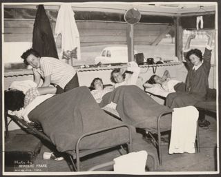 BBGs Waking Up on Cots at Camp Photograph, 1950