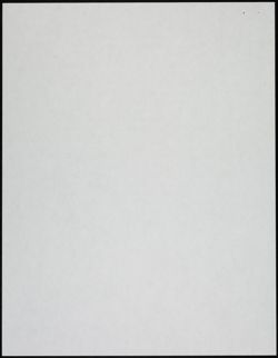 BBYO_Archive_Box 2_F13_100.jpg