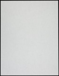 BBYO_Archive_Box 2_F13_076.jpg