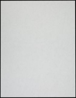 BBYO_Archive_Box 2_F13_068.jpg