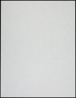 BBYO_Archive_Box 2_F13_098.jpg