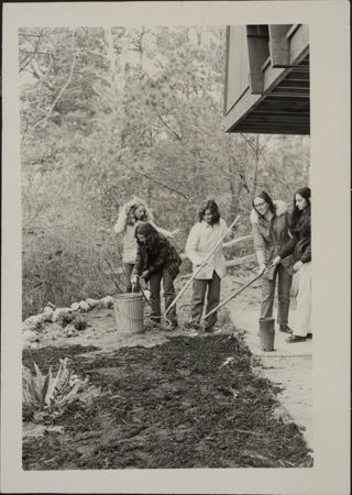 Group of Five Building QSR BBG Garden Photograph
