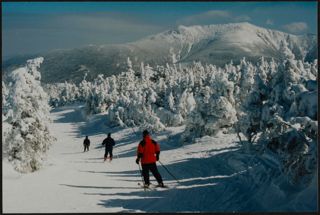 Three Skiers on Cannon Mountain Photograph, 2000