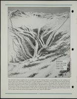 NESM_DCP_Archive_Box1_F04_042_01.jpg