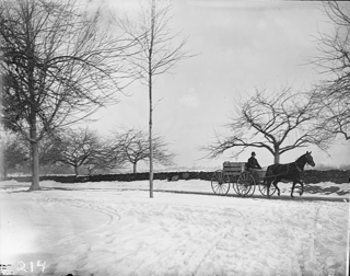 Hobart Yale (brother of David Lewis Yale) driving down street in Meriden, Connecticut with box in his wagon.