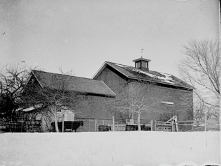 Father's cow barn from southeast. 