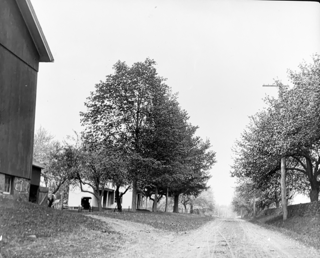 Looking North from road in front of cow barn