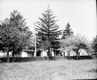 House from lot in front, Arthur on wall