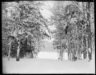 Tunk Lake from camp in winter
