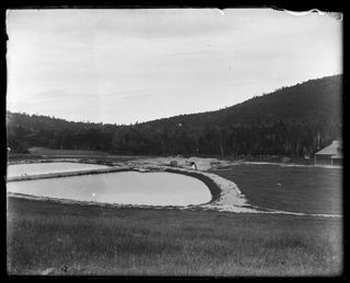 Pond at fish works