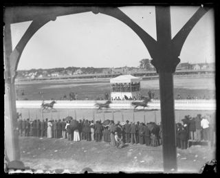Horse race at Maplewood Park, Bangor