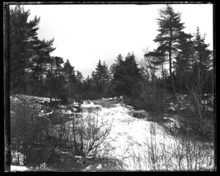 Card Brook during freshet, March 1906