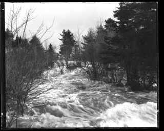 Card Brook during freshet, March 1906