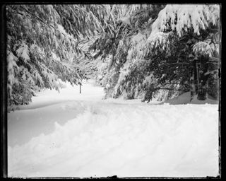 Entrance to Firlands in snow