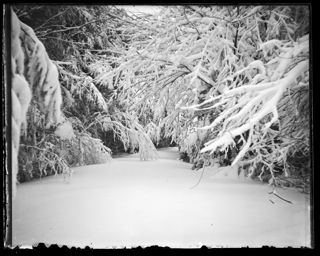 Snow Scene near Senator Hales