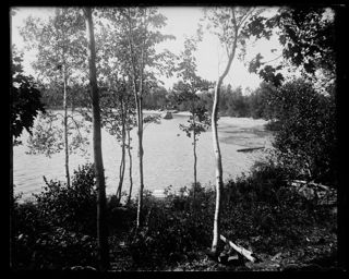 Crescent Beach from Camp Aiken, Patten Pond, September 1905