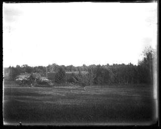 View from Otis House