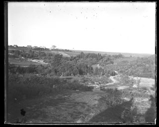 View near Reed's Brook, Spring 1901