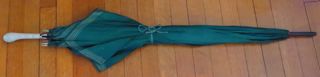 Green Silk and Ivory Umbrella