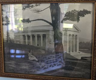 Photo of the Building of Arts and Lawn