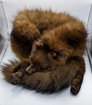 Dark Brown Fur Wrap