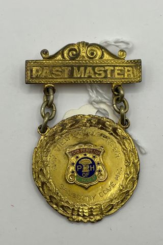 Salsbury Cove Grange Past Master Lapel Pin
